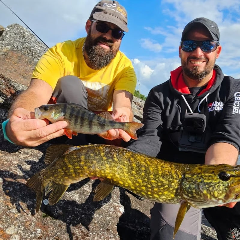 Roofvis Advent Calendar🎣