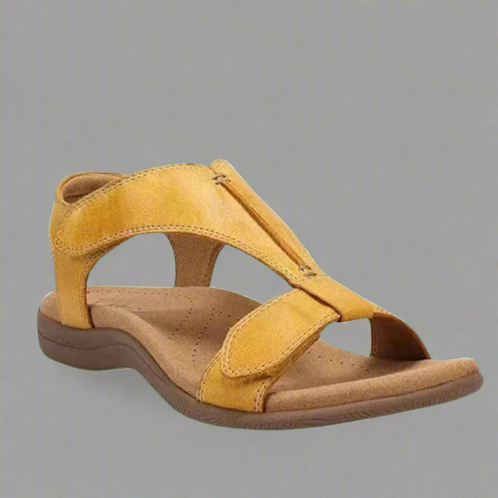 Solevia | Clean and Modern