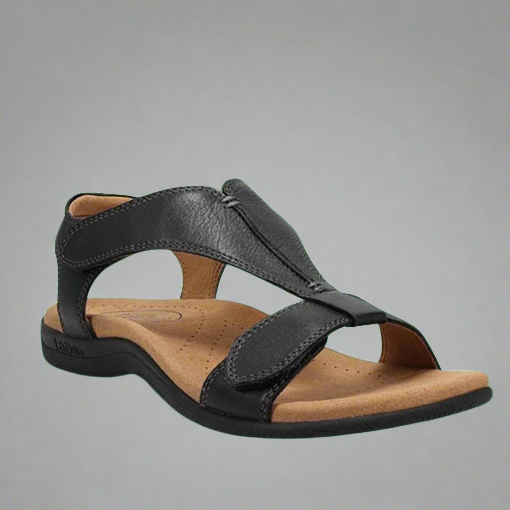 Solevia | Clean and Modern