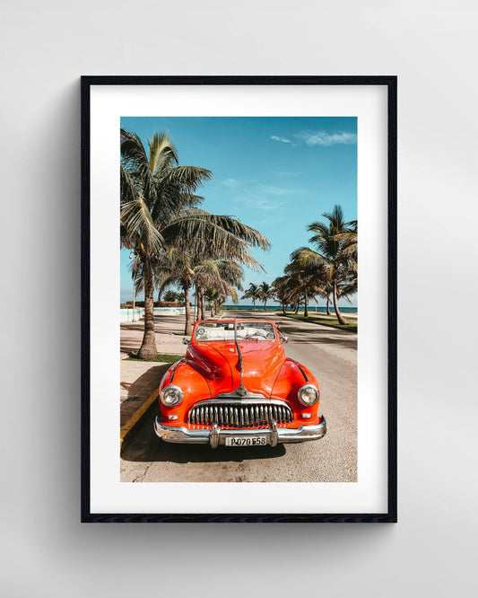 Beach Cruiser