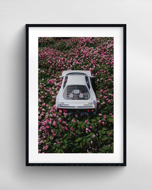 Ferrari in Bloom