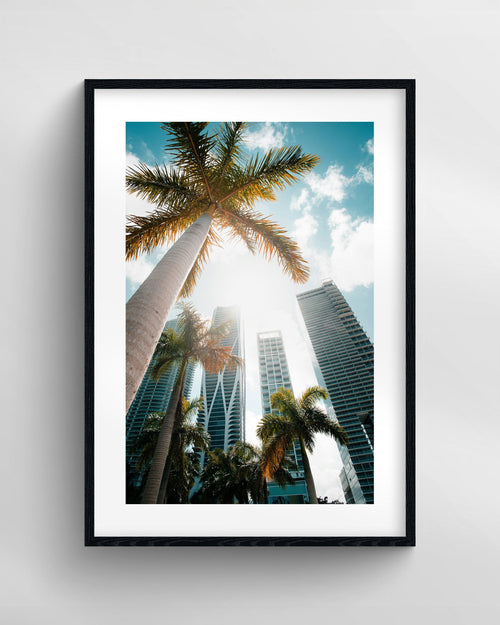 Miami Sky