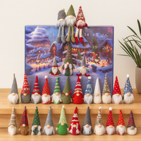 Premium Classic (24 gnomes)