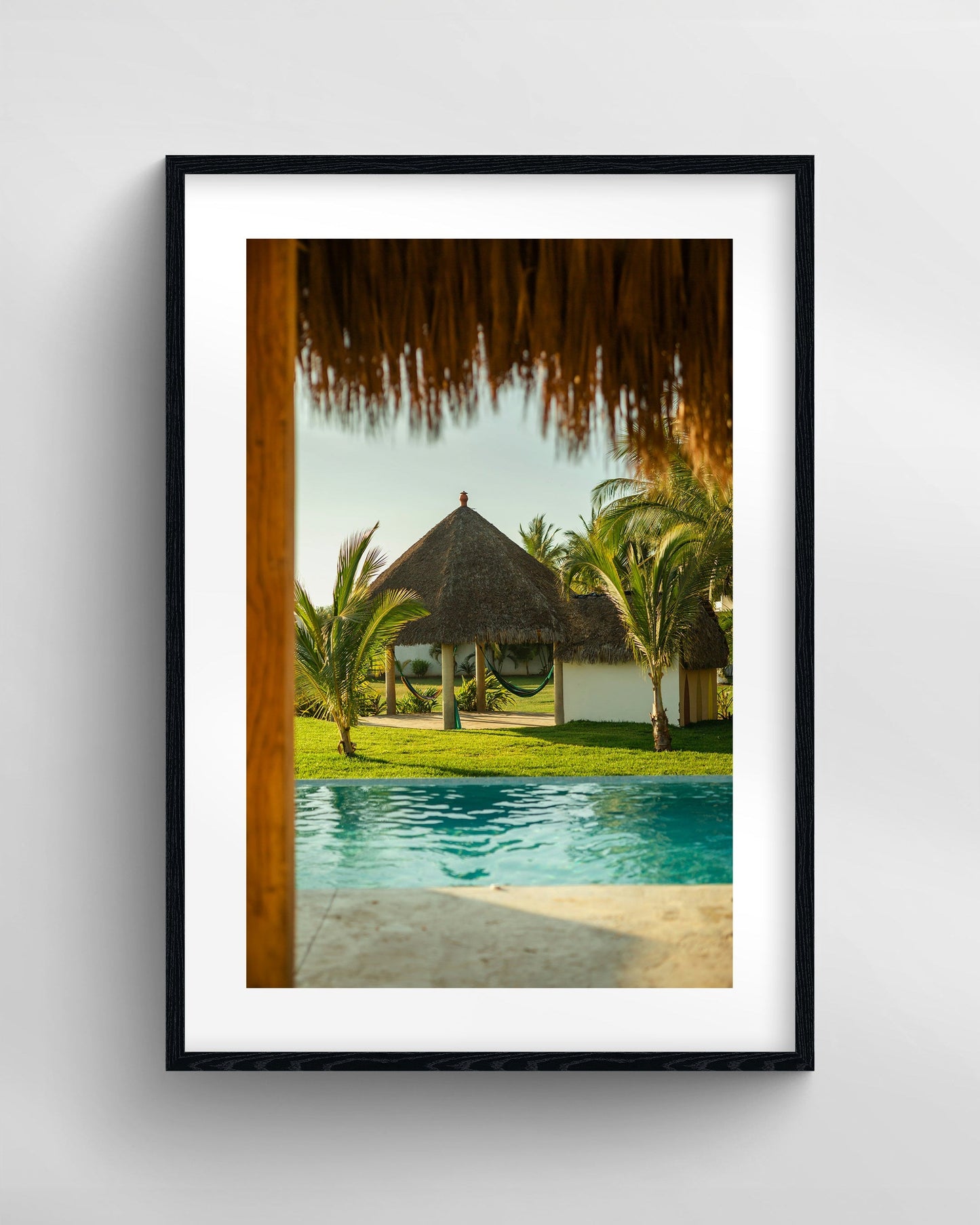 Palm Oasis