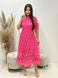 Short Rose red