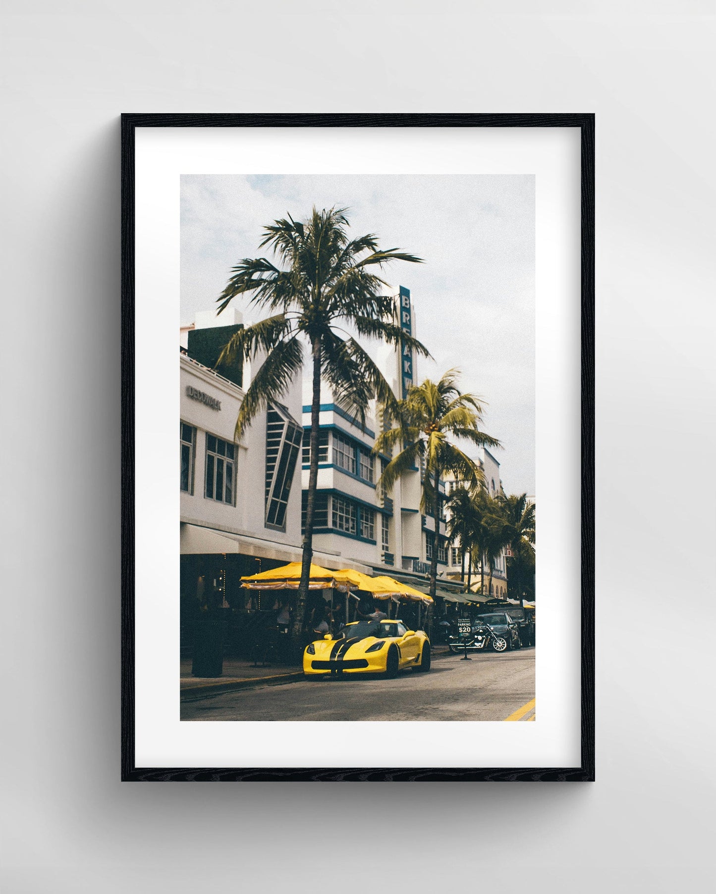 South Beach Vet