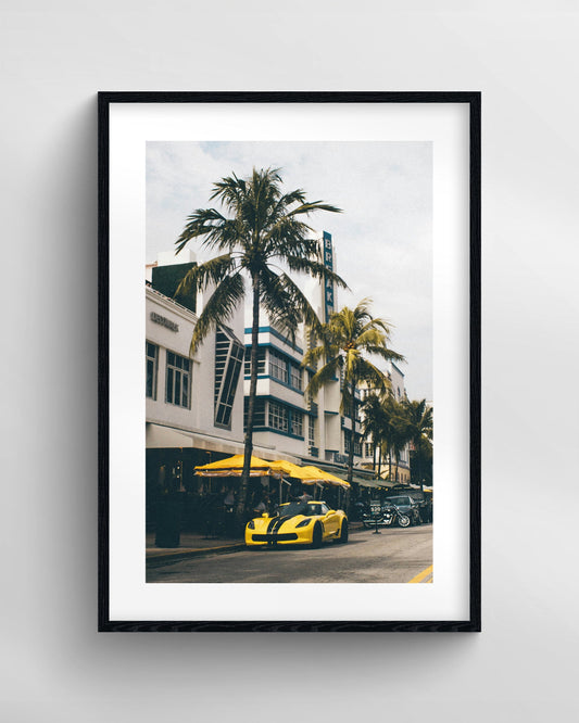 South Beach Vet