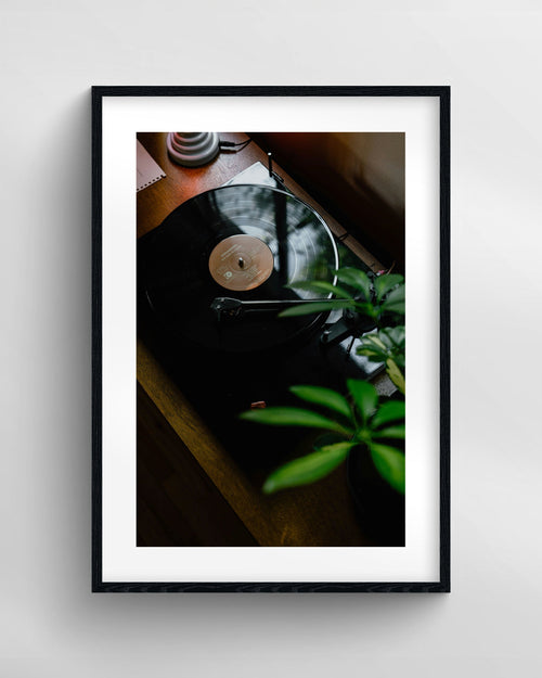 Vinyl Vibes