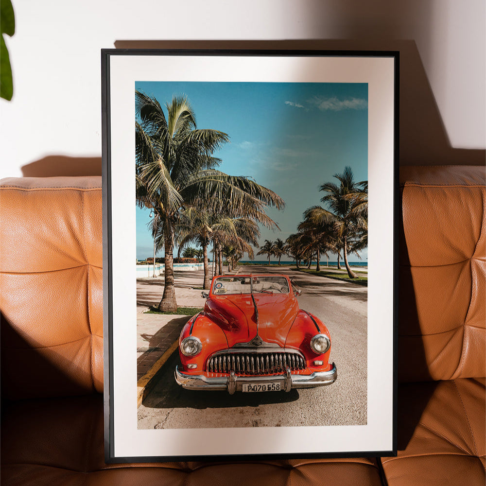 Beach Cruiser