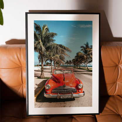 Beach Cruiser